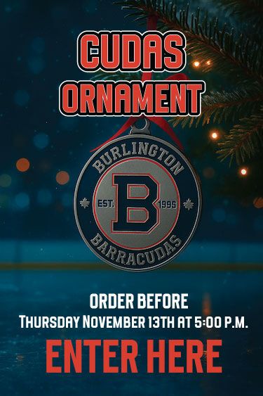 Christmas Ornament Order