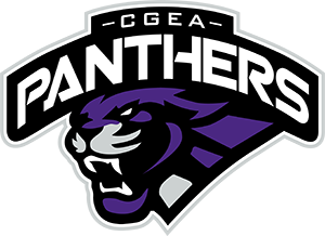 Canadian Girls Elite Academy